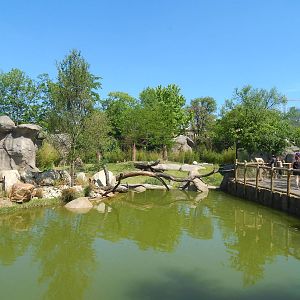 May. 2014 - Africa - Watering Hole + Lion Exhibit