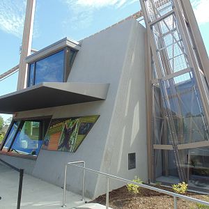 new orangutan exhibit