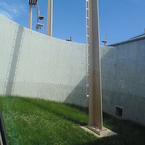 new orangutan exhibit