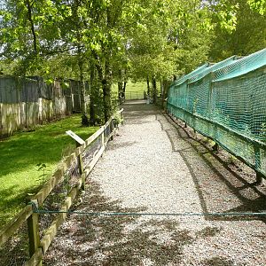 View of some breeding aviaries .