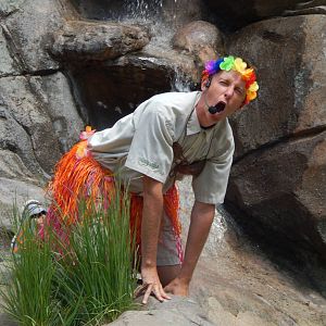 May. 2014 - Wings of Wonder Bird Show - 'I've Got the Eye of the Tiger!'