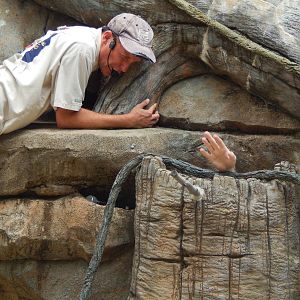 May. 2014 - Wings of Wonder Bird Show