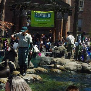 Feeding & training show