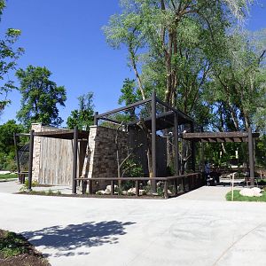 King Vulture Exhibit