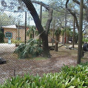 Monkey/Duiker/Tortoise Exhibit