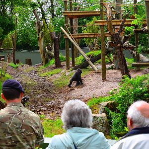 Bahasha approaches the new outdoor gym