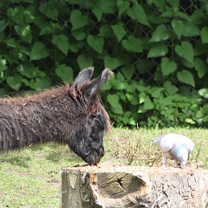 Good to share - part one, 26th May 2014