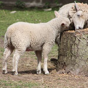 Good to share - part two, 26th May 2014