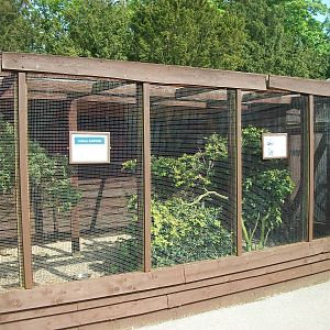 Shrubbery pruned in the aviary for finches, 23rd May 2014