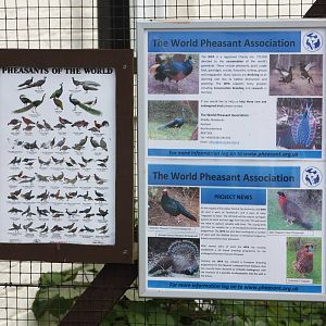 Signage, 24th May 2014