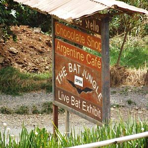 Entrance Sign at the Bat Jungle, 21/04/14