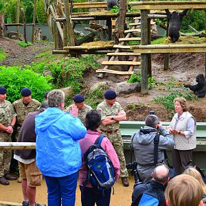 Lee Durrell introduces the new gorilla gym