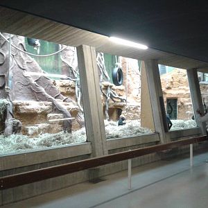 Spidermonkey enclosure