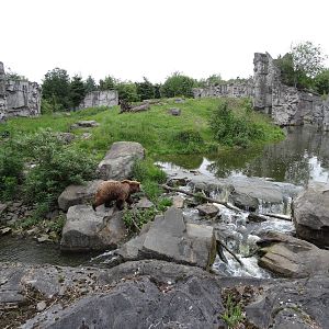 Kamchatka bear enclosure
