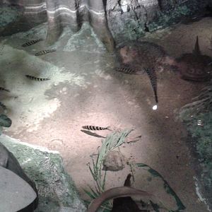 Another view into the pond