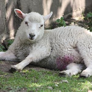 April, 25th May 2014