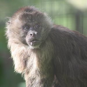 Linford, 26th May 2014