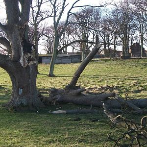 Christmas Day 2013 damage