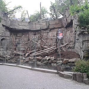 Mandril outside enclosure