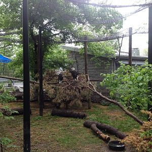 Lincoln Children's Zoo