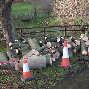 Waiting to become Goat Mountain, November 2013