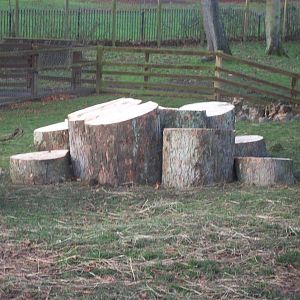 Goat Mountain II, December 2013