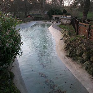 A view down the new look penguin exhibit, December 2013