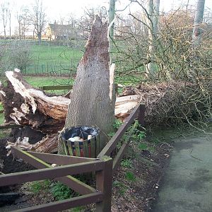 Gales damage, 28th December 2013
