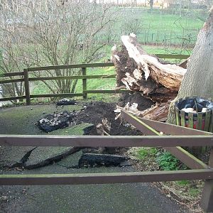 Gales damage, 28th December 2013
