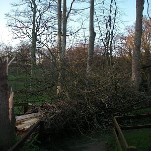 Gales damage, 28th December 2013