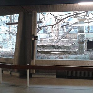 Silvered leaf monkey enclosure