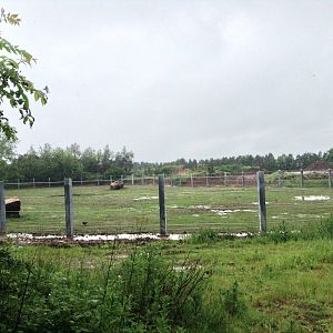 Improvements to Elephant Enclosure 29.05.2014