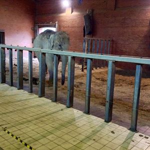 Inside the Elephant House 29.05.2014