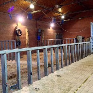 Inside the Elephant House 29.05.2014