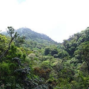 Continental Divide, Monteverde, 20/04/14