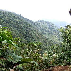 Cloud Forest, Monteverde, 20/04/14