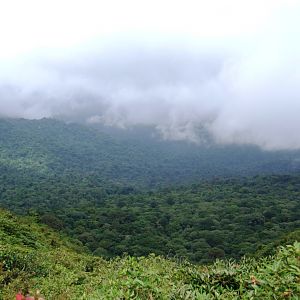 Cloud Forest, Monteverde, 20/04/14