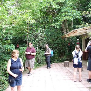 Hummingbird Gallery, Monteverde, 20/04/14