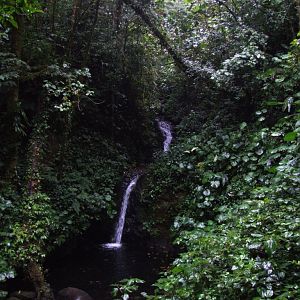 Waterfall, Monteverde, 21/04/14