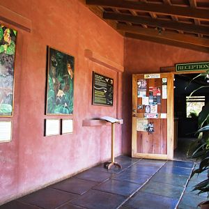 Main Entrance at the Bat Jungle
