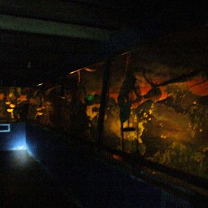 Bat Enclosure at the Bat Jungle, 21/04/14