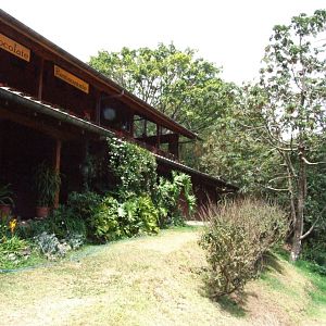 View of the Bat Jungle Building, 21/04/14