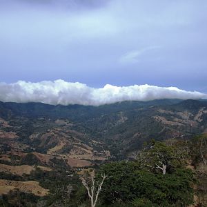 View to the Cloud Forest, 21/04/14