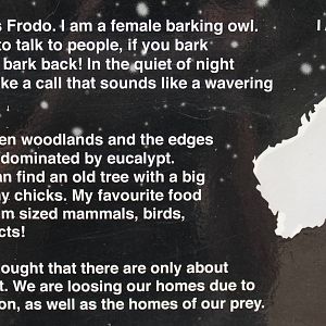 part of the Barking Owl signage