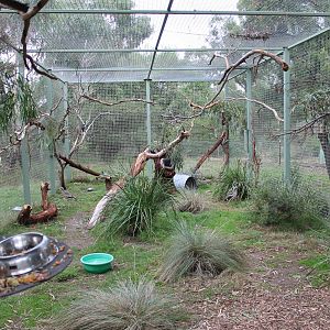 view into one of the aviaries