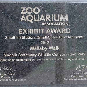 Wallaby Walk award