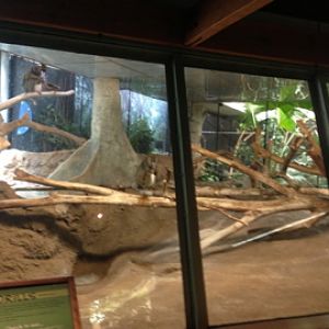 5/28/2014 - Mandrill Exhibit