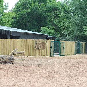 Further Onager and Camel paddock refurbishments
