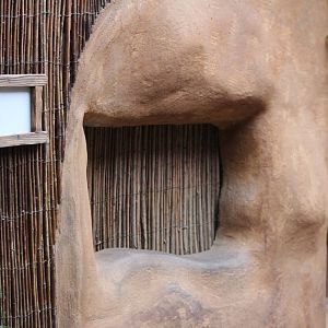 Former Spiny Mouse exhibit