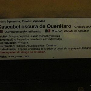 queretaro rattlesnake sign chapultepec zoo